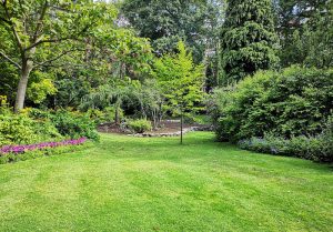 Optimiser l'expérience du jardin à Courcoury